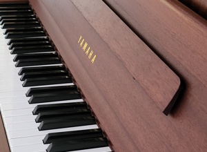 Musiker für unser Jubiläum