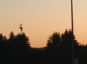 Licht an! Mit LED Flutlicht in die Zukunft blicken
