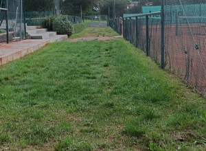 Erneuerung Fuß- und Fahrweg TC Meckesheim