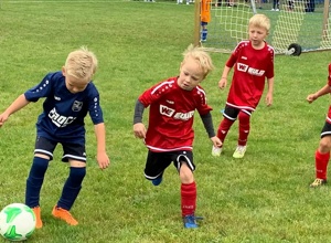 Minitore für die neue DFB-Spielform (FUNino)