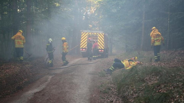 Waldbrandehrung für Feuerwehrmitglieder des Landkreises Görlitz