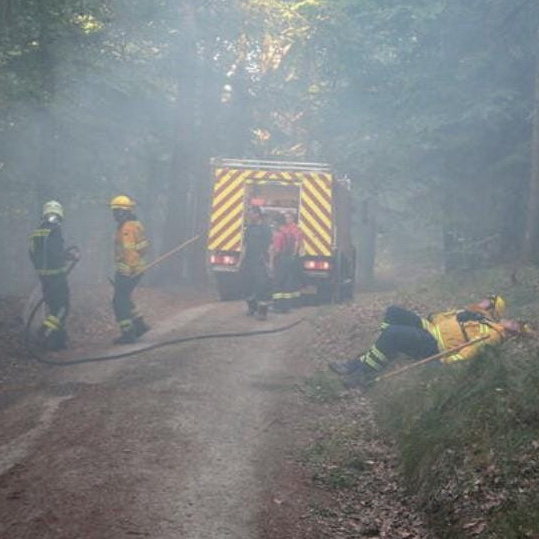 Waldbrandehrung für Feuerwehrmitglieder des Landkreises Görlitz