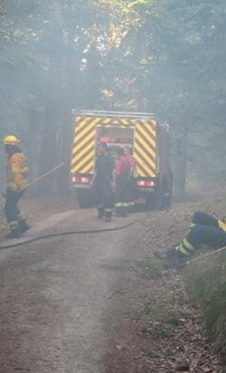Waldbrandehrung für Feuerwehrmitglieder des Landkreises Görlitz