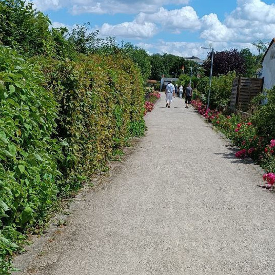 Für unseren Gartenverein ein neues Wassernetzwerk und neue Wege