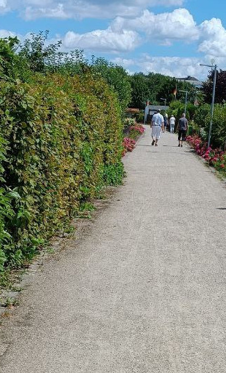 Für unseren Gartenverein ein neues Wassernetzwerk und neue Wege