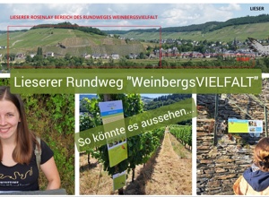 Lieserer Rundweg "WeinbergsVIELFALT"