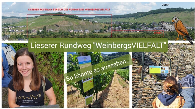 Große Ansicht vom Video