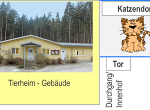 Jubiläumsprojekt: Katzendorf im Tierheim Lohr-Sackenbach