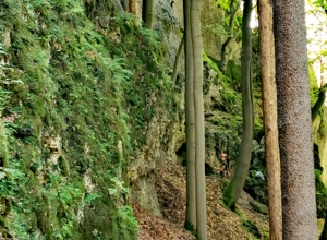 Kletter- und Höhlenausrüstung für den NaturPerspektiv e.V.