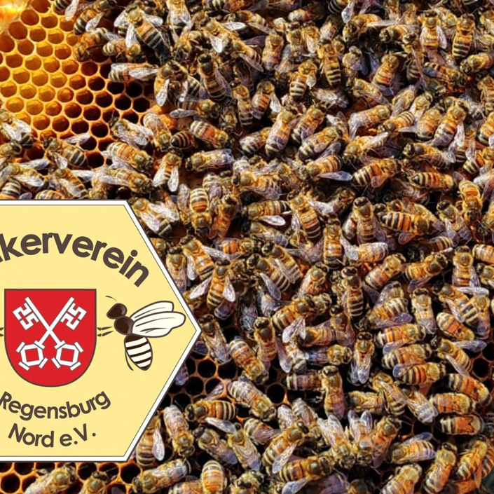 Lehrbienenstand an der Schillerwiese