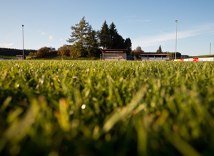 Anschaffung neues Fußballtor SV Immenried 1978 e.V.