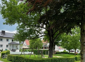 Erhaltung unseres Dorfes Effeln