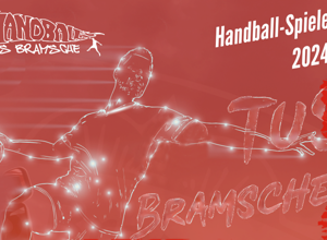 Handball-Spielefeste