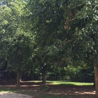 Bewegungsspielplatz für die Hans-Thoma-Schule Laufenburg