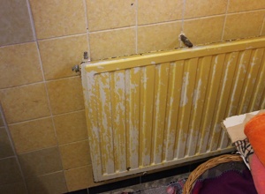 Renovierung Katzenzimmer
