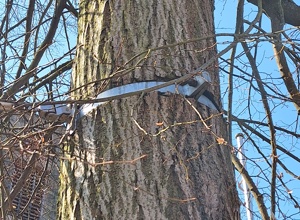 Neues Klettergerüst für die Auferstehungskita
