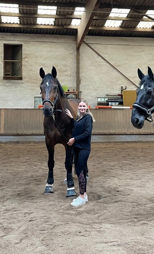 Kauf eines neuen Vereinspferdes RG Hegnach-Oeffingen