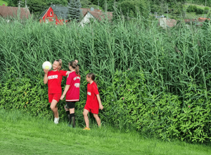 Ballfangzaun Hauptspielfeld Riedsportplatz