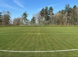 Ein Herz für unseren Rasen