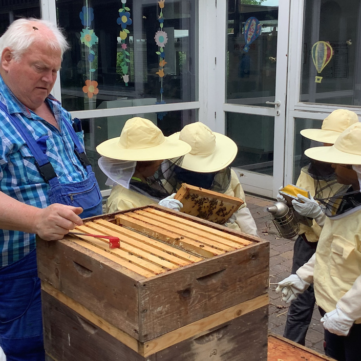 Den Bienen auf der Spur - Praxiskurs für Kinder u. Jugendliche