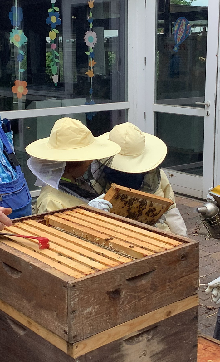 Den Bienen auf der Spur - Praxiskurs für Kinder u. Jugendliche