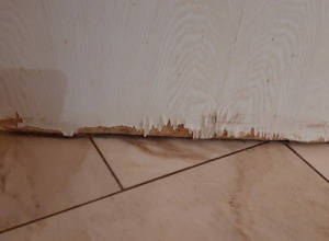 Renovierung Katzenzimmer