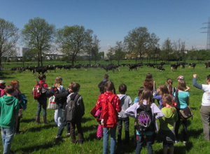 Küche für den  Schulbauernhof  Dottenfelderhof e.V.