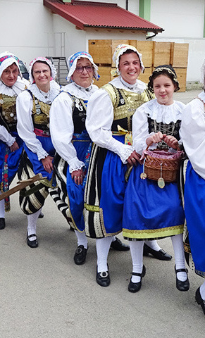 Tradition "Maibaum-Aufstellen"  Trachtenverein Immergrün Straubing