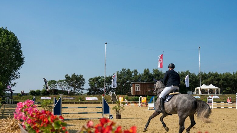 Große Ansicht vom Video