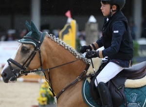 Ebbe-Flut-Reitplatz Reit- und Fahrverein Buchen (Training und Turnier)