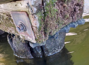 Sport verbindet – Ein sicherer Steg für starke Gemeinschaft