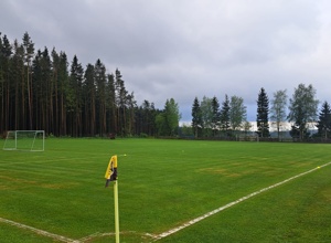 Anschaffung eines Rasenmähroboters