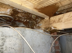 Schwamm drüber! Nicht mit uns.