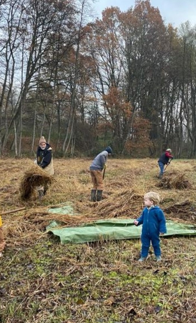 Flächenpflege für die Natur