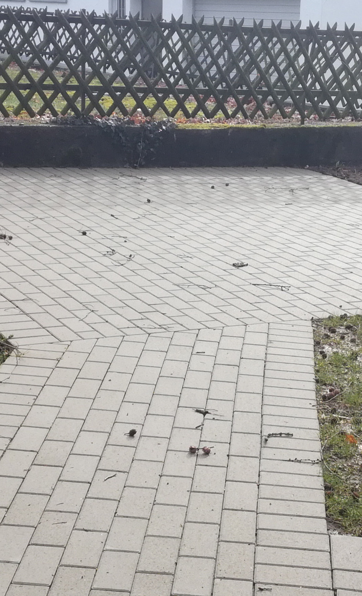 Erstellung einer Gartenlaube