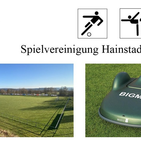 Anschaffung neuer Mähroboter