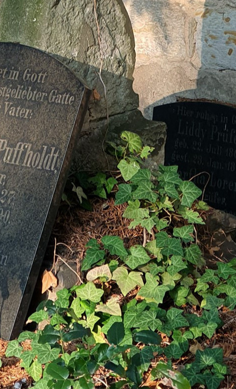 Gründervater der Philharmonie