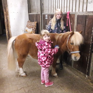 2 Stunden rund ums Pferd