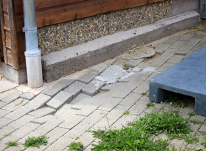 Artgerechte Kleintierhaltung im Tierheim Alsfeld