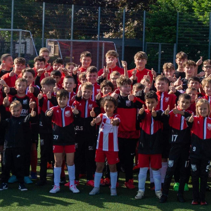 DJK-Fohlen-Förderprojekt 2024: Anschaffung Ausstattung für Jugendteams