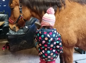 Ein Therapiepferd für die Reittherapie