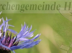 Pfarrgarten