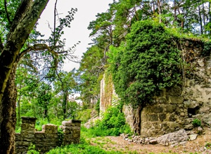 Buchpublikation zur Geschichte der Burg Wehrstein in Fischingen a. N.