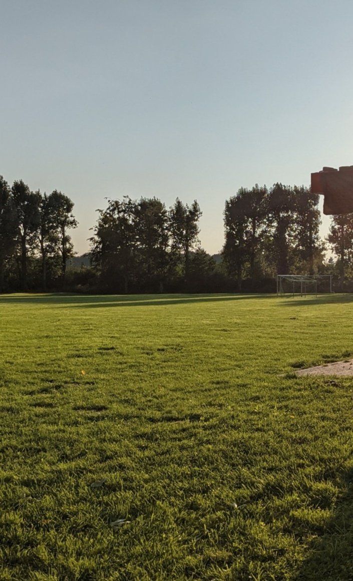 Neuer Naturrasen für den Fußballplatz in Brenig
