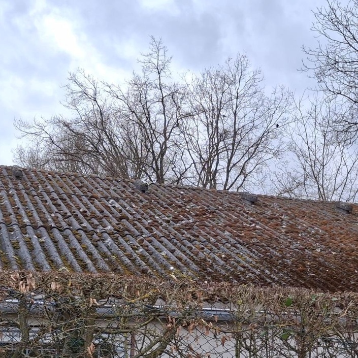 Neues Dach fuer's  Clubhaus