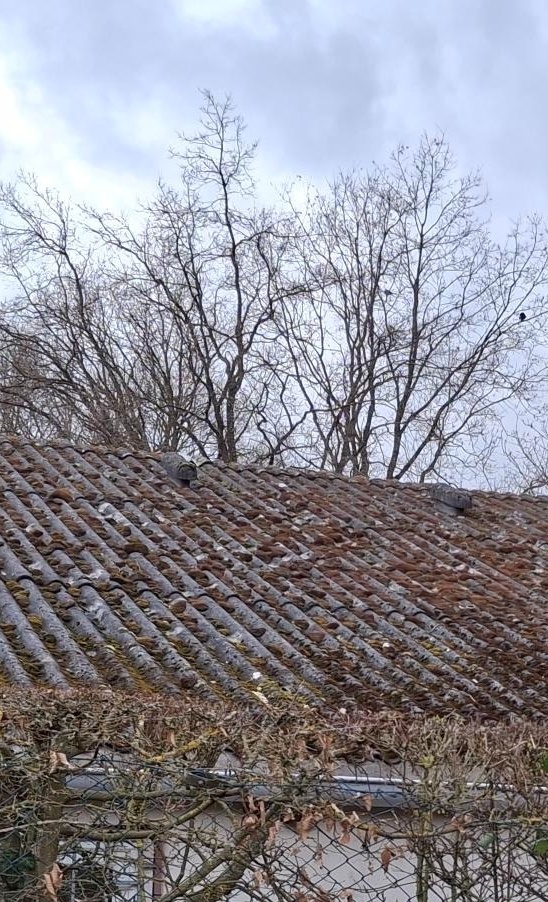 Neues Dach fuer's  Clubhaus