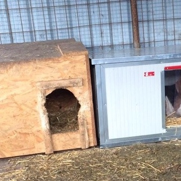 Hütten für unser Tierheim in Ungarn