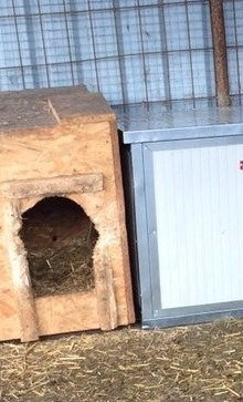 Hütten für unser Tierheim in Ungarn