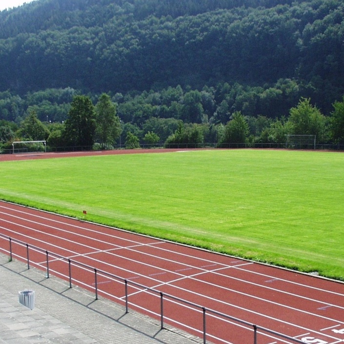 Mähroboter für unseren Stadionrasen inkl. Installation