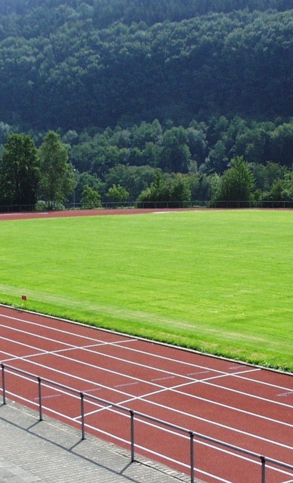 Mähroboter für unseren Stadionrasen inkl. Installation